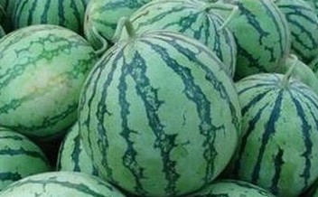 ��(y��ng)���Ծ�