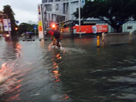 ���ڱ���