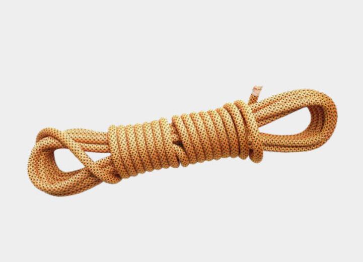 �����Kce�J�Cen892