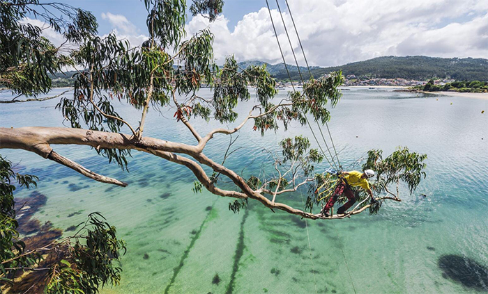 �������I��ȫ�K��