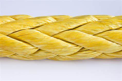 ����ϵ���|�K�r��