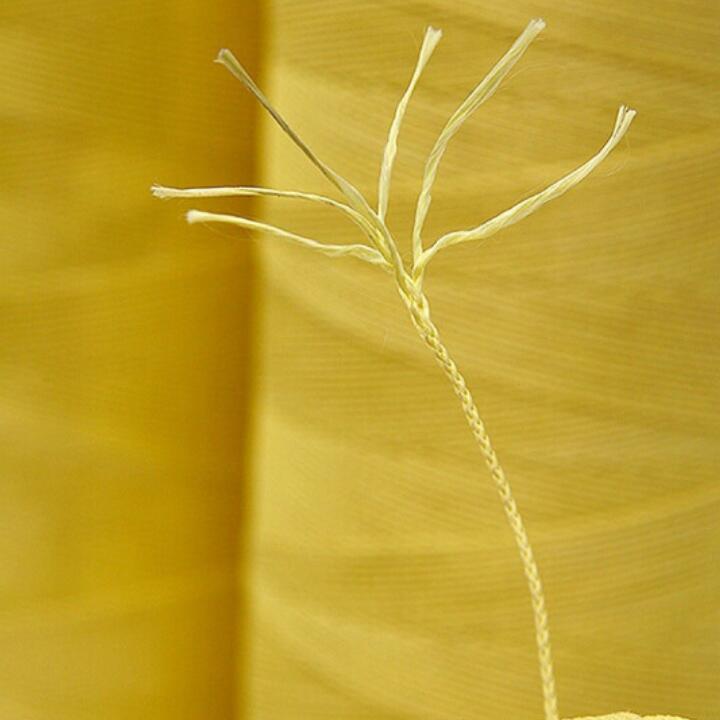 �P�����L(f��ng)�~��